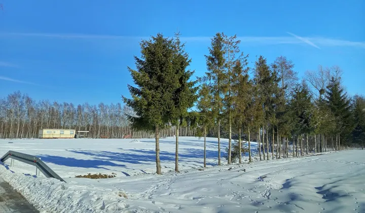 Działka rolno-budowlana Zbiczno
