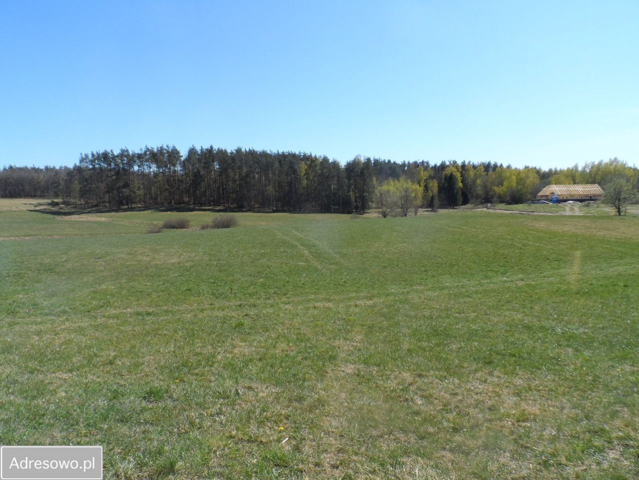 Działka rolno-budowlana Pomlewo, ul. Szkolna. Zdjęcie 6