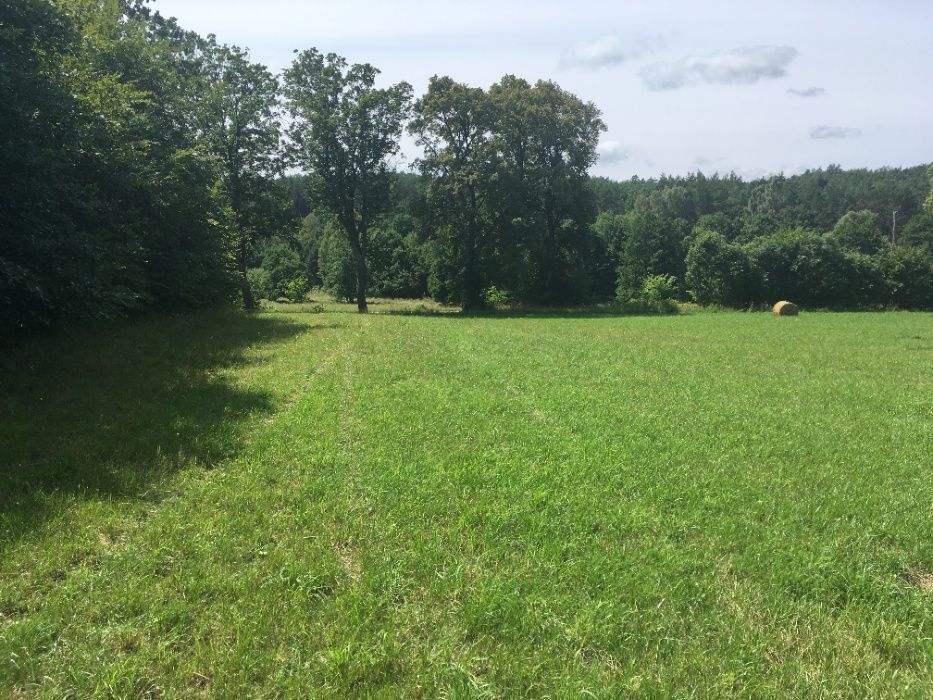 Działka siedliskowa Tadzino. Zdjęcie 5