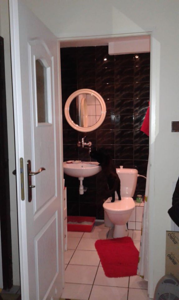 dom wolnostojący, 6 pokoi Opole Bierkowice, ul. Lajkonika. Zdjęcie 14