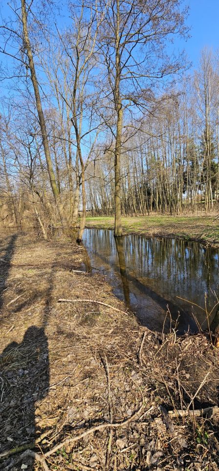 Działka siedliskowa Rzgów Drugi. Zdjęcie 5