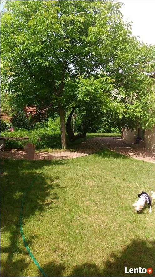 dom wolnostojący, 6 pokoi Łódź Górna, ul. Obywatelska. Zdjęcie 6