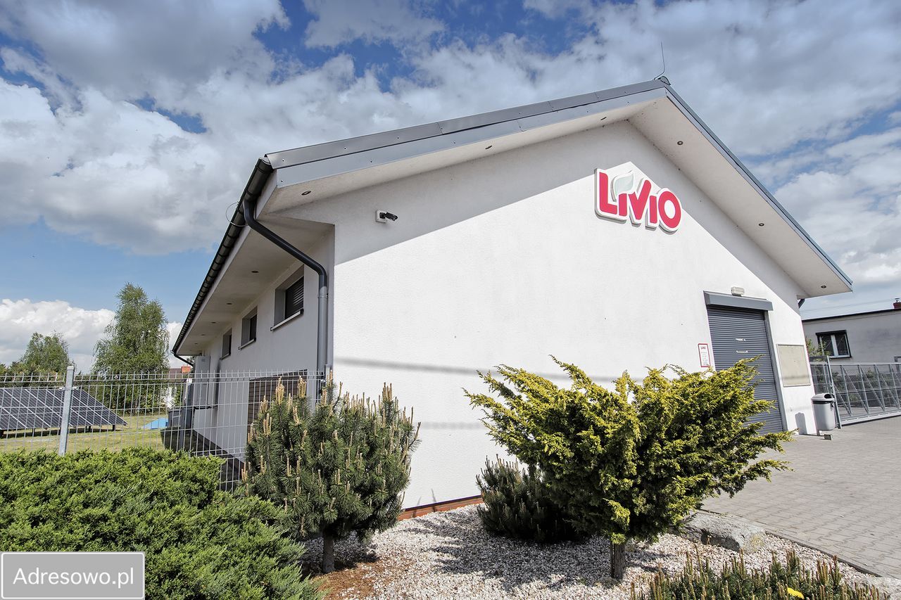 Hala/magazyn Rożnowo. Zdjęcie 10