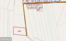 Działka rolno-budowlana Skrzydlów. Zdjęcie 3