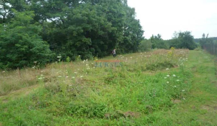 Działka budowlana Sierzchów