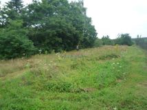 Działka budowlana Sierzchów