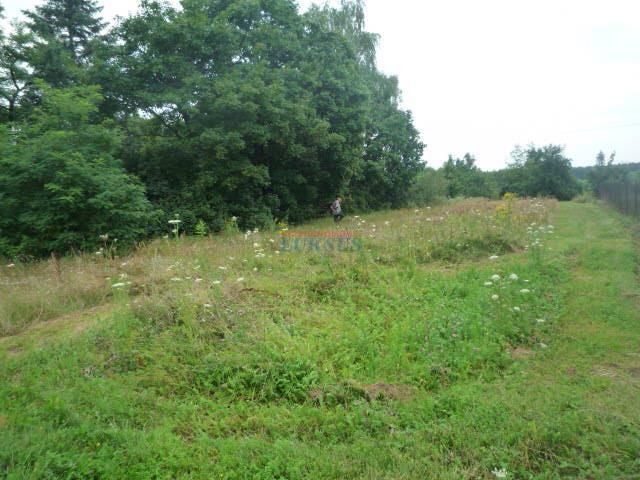 Działka budowlana Sierzchów