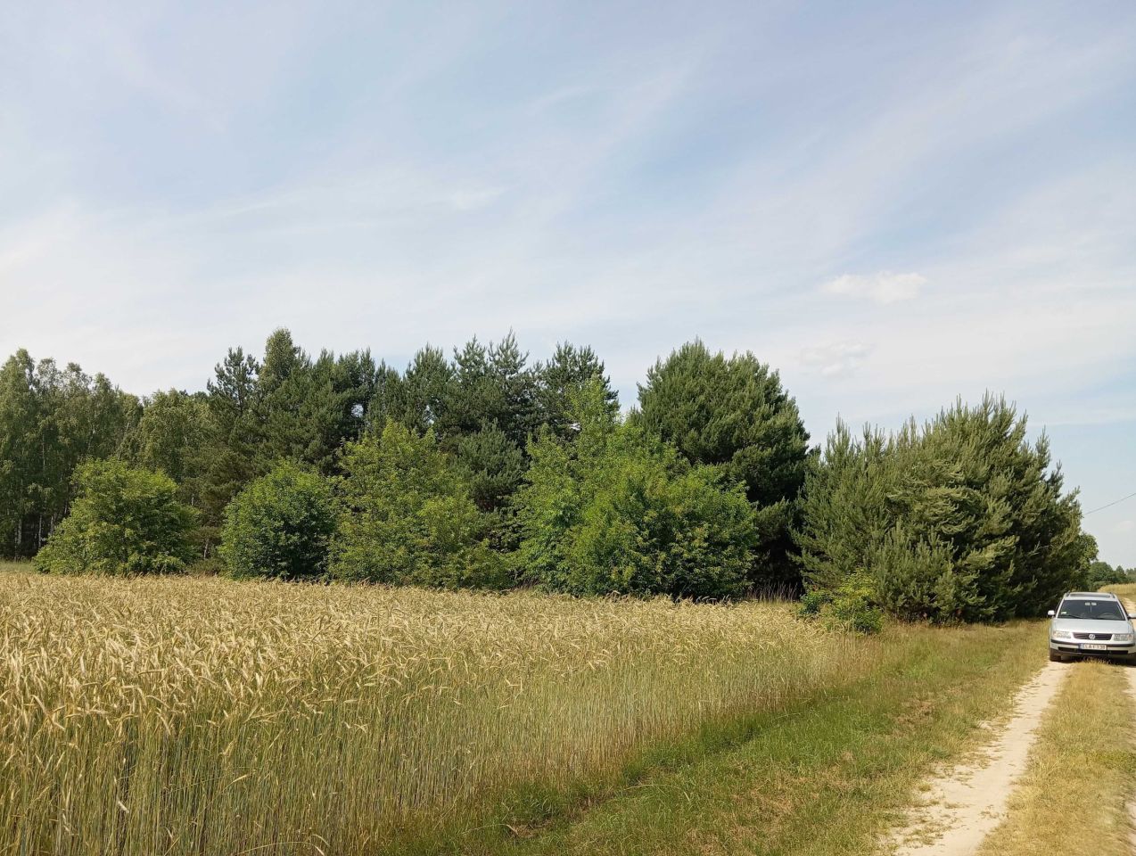 Działka budowlana Rogóźno. Zdjęcie 6