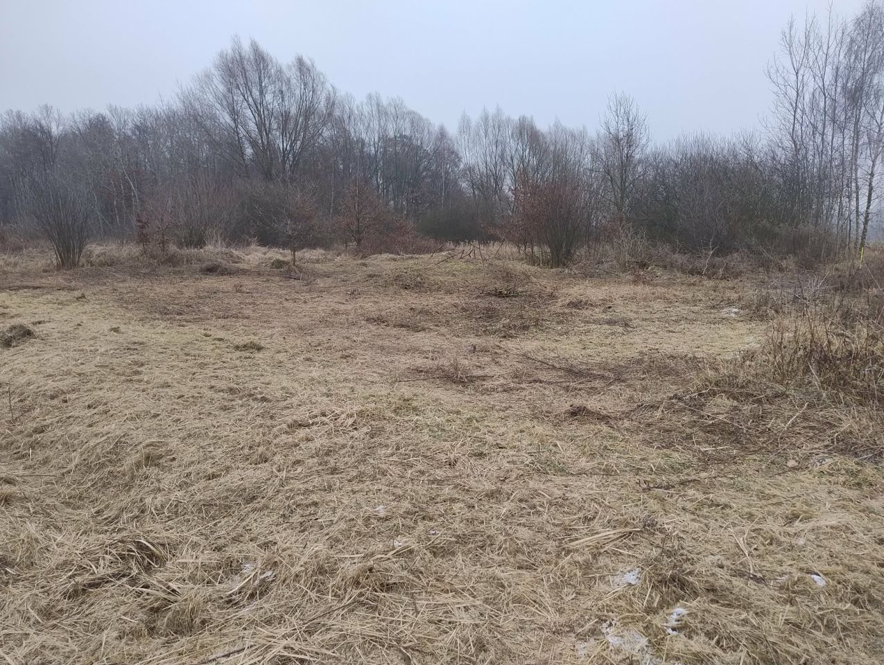 Działka budowlana Czerniec, Czerniec. Zdjęcie 5