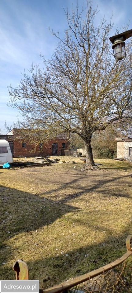 dom wolnostojący, 6 pokoi Dąbrowa Nowogardzka. Zdjęcie 4