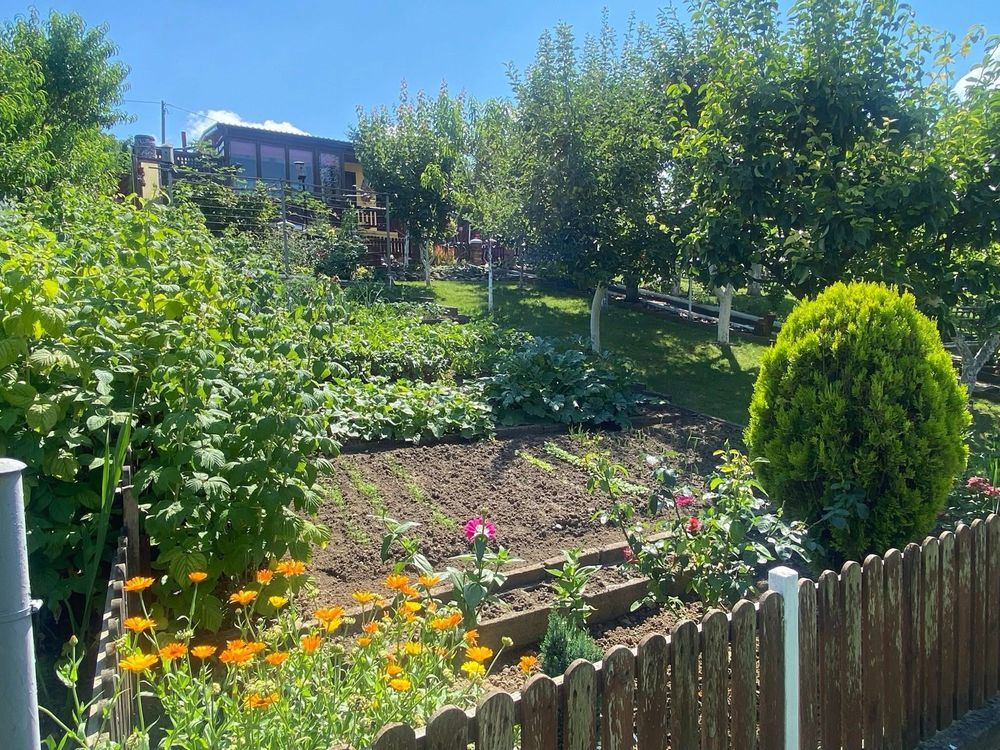 Działka rod Bogusławki. Zdjęcie 4