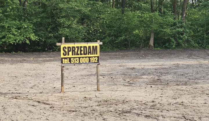 Działka rekreacyjna Kosewo, Brak