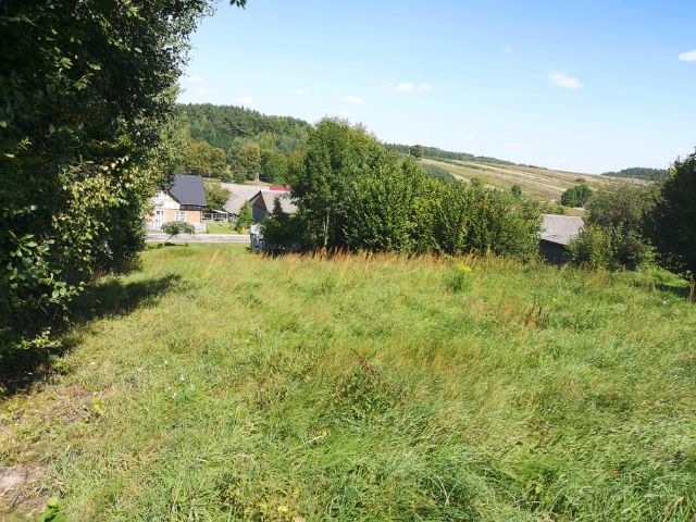 Działka rolno-budowlana Zielone. Zdjęcie 1