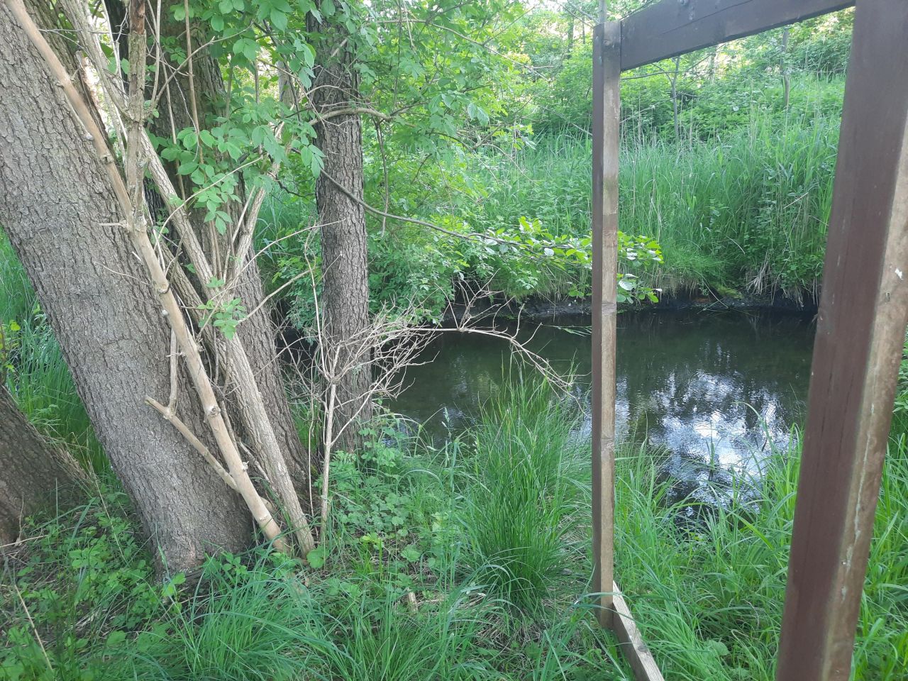 Działka rekreacyjna Minikowo. Zdjęcie 7