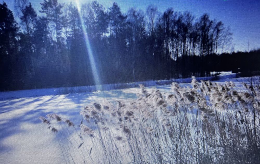 Działka budowlana Helenów. Zdjęcie 7