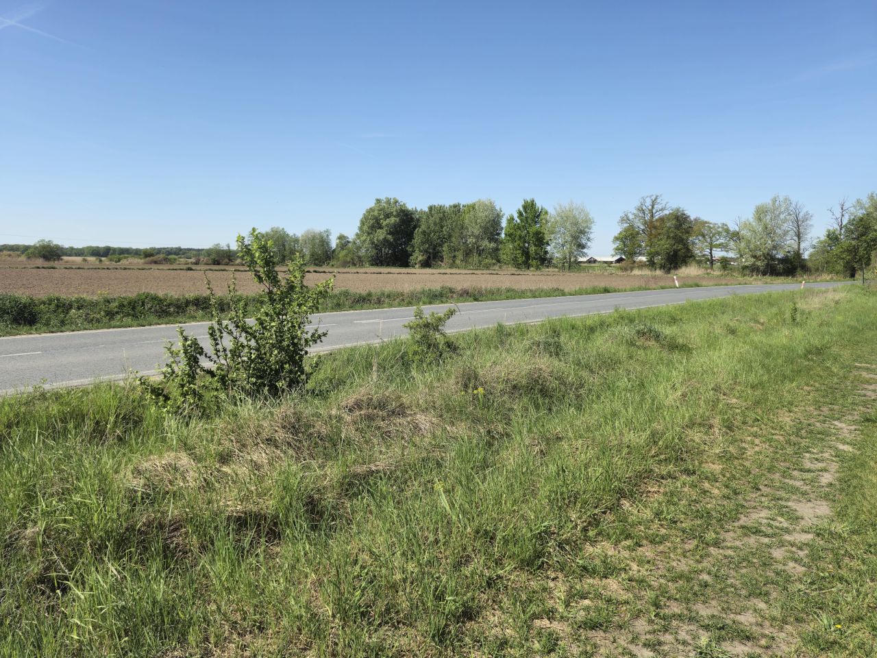 Działka budowlana Piotrkowice. Zdjęcie 6