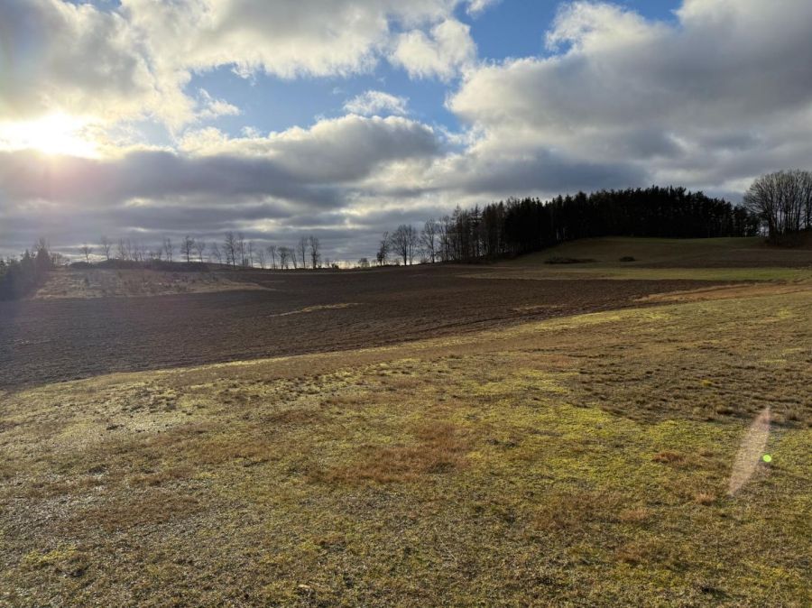 Działka budowlana Borzestowo. Zdjęcie 5