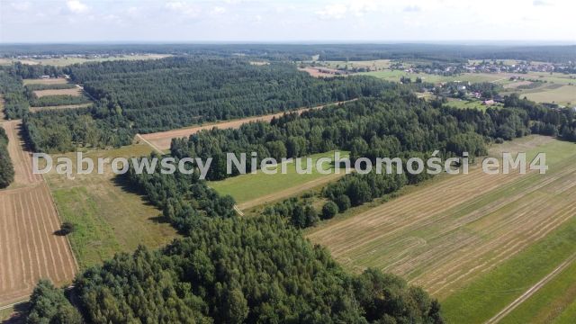 Działka rolna Letniki. Zdjęcie 2