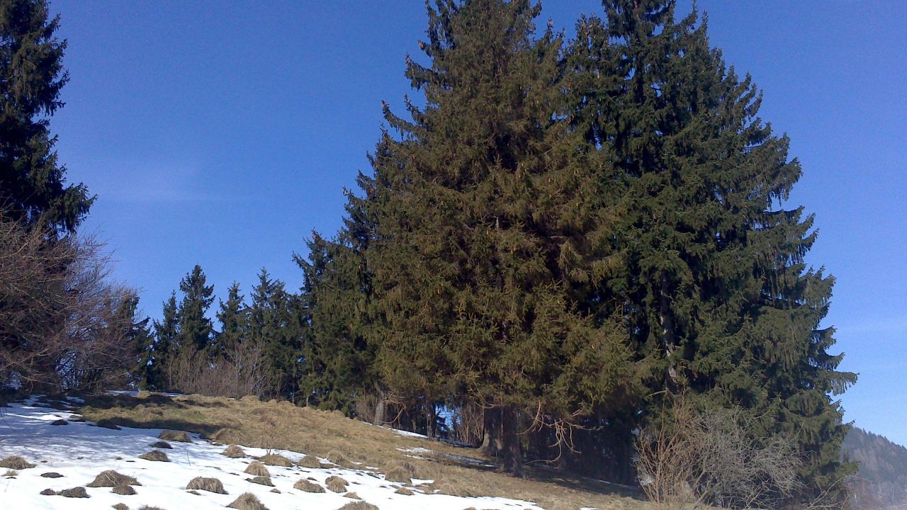 Działka rolno-budowlana Boguszów-Gorce. Zdjęcie 8