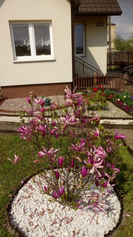 dom wolnostojący, 2 pokoje Ostrowiec Świętokrzyski Zygmuntówka, ul. Zygmuntówka. Zdjęcie 9