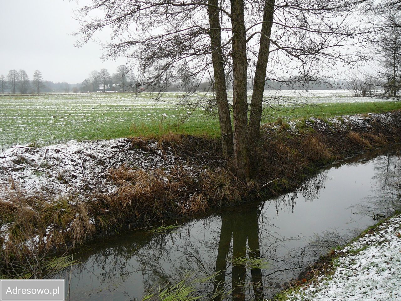 Działka rolno-budowlana Nowe Jastrzębsko. Zdjęcie 7