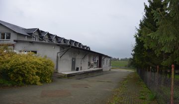 Hala/magazyn Żelistrzewo, ul. Pucka