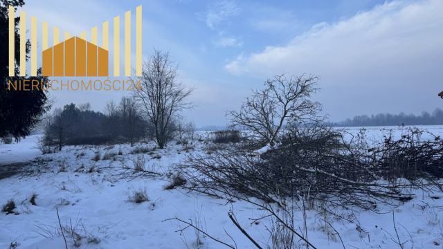 Działka budowlana Teresin. Zdjęcie 6