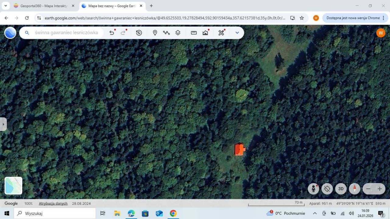 Działka leśna Świnna. Zdjęcie 2