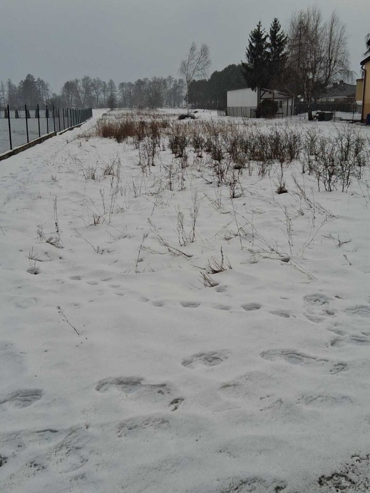 Działka budowlana Pogorzel. Zdjęcie 2