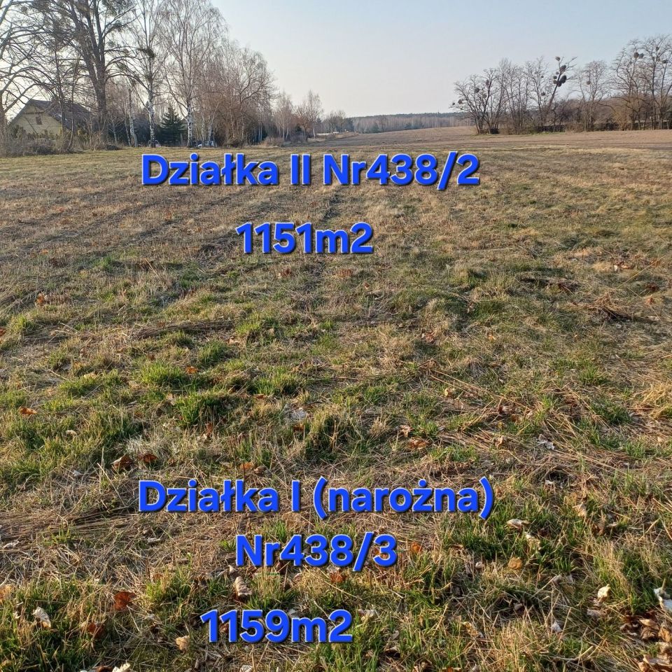 Działka rolno-budowlana Niesułków. Zdjęcie 2