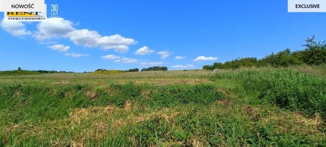 Działka rekreacyjna Płocin. Zdjęcie 8