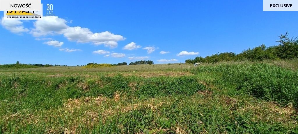 Działka rekreacyjna Płocin. Zdjęcie 8