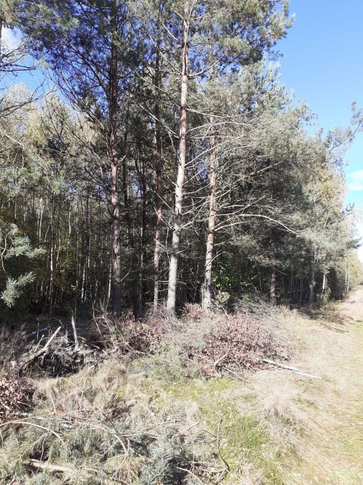 Działka rolna Krępica. Zdjęcie 3