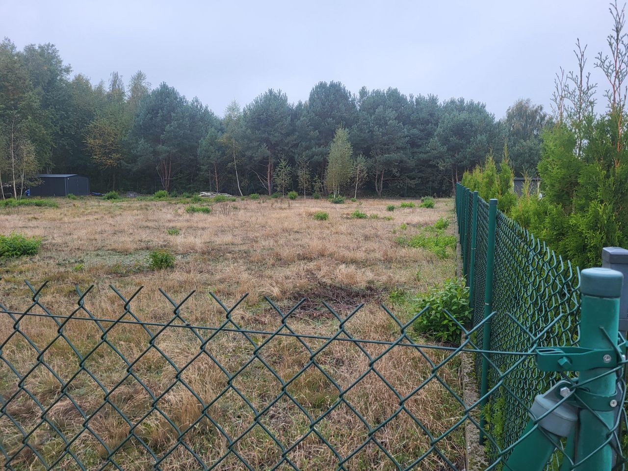 Działka budowlana Józefowo, ul. Brzozowa. Zdjęcie 3