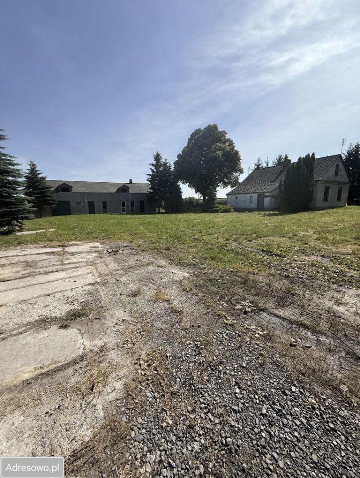 Działka siedliskowa Przybysławice. Zdjęcie 7