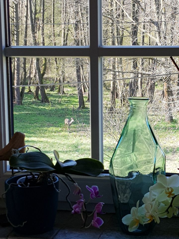 dom wolnostojący, 5 pokoi Grzmiąca, ul. Skulska. Zdjęcie 14