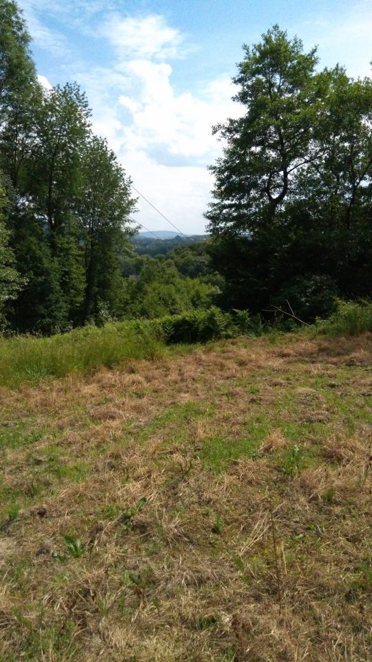 Działka inna Gorzeń Górny. Zdjęcie 15