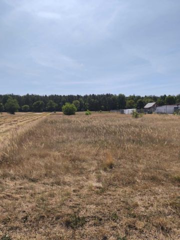 Działka budowlana Stany. Zdjęcie 1