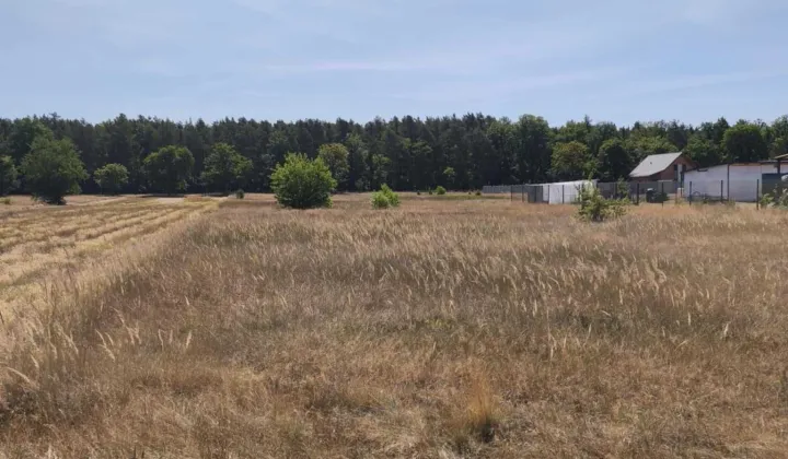 Działka budowlana Stany