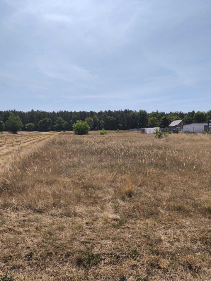 Działka budowlana Stany