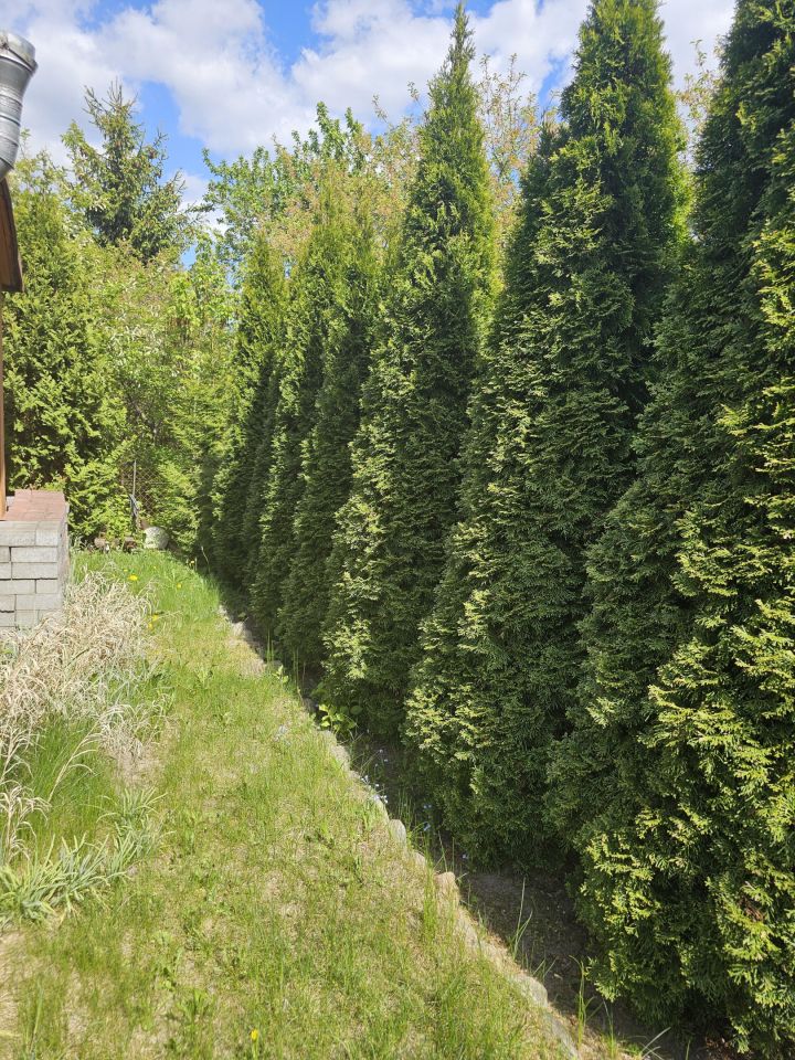 Działka rod Bydgoszcz Kapuściska, ul. Chemiczna. Zdjęcie 6