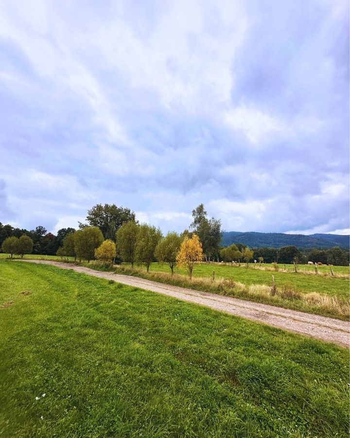 Działka budowlana Janowice Wielkie. Zdjęcie 6