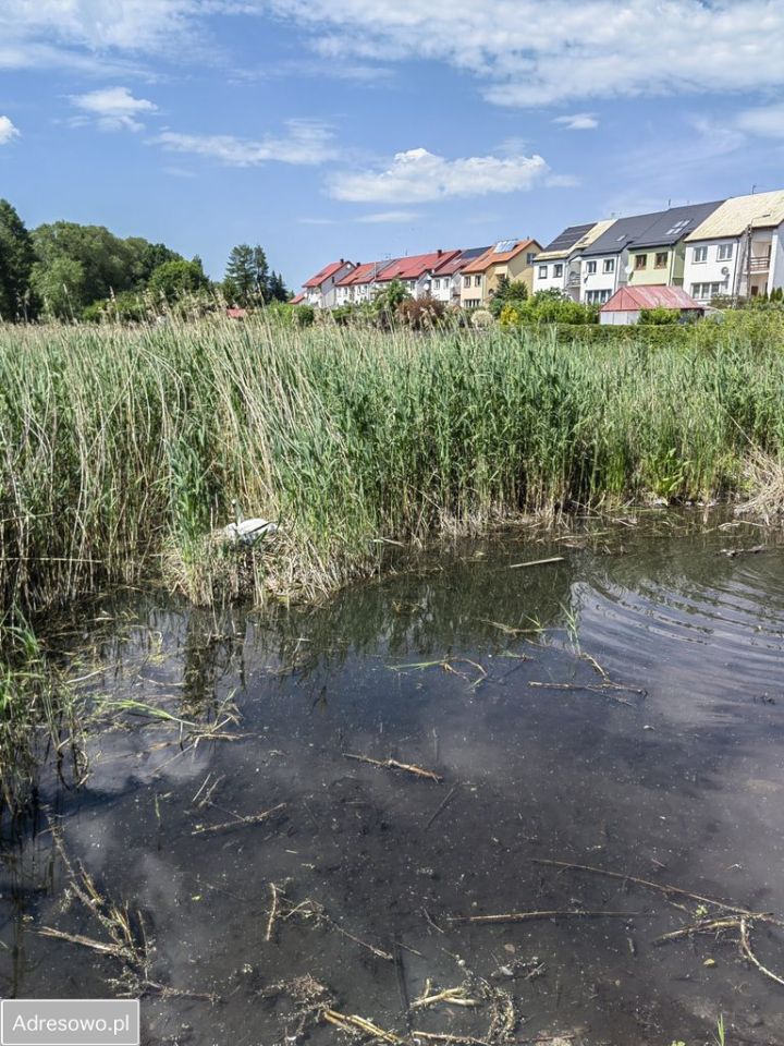 dom szeregowy, 5 pokoi Mrągowo, ul. Łąkowa. Zdjęcie 16