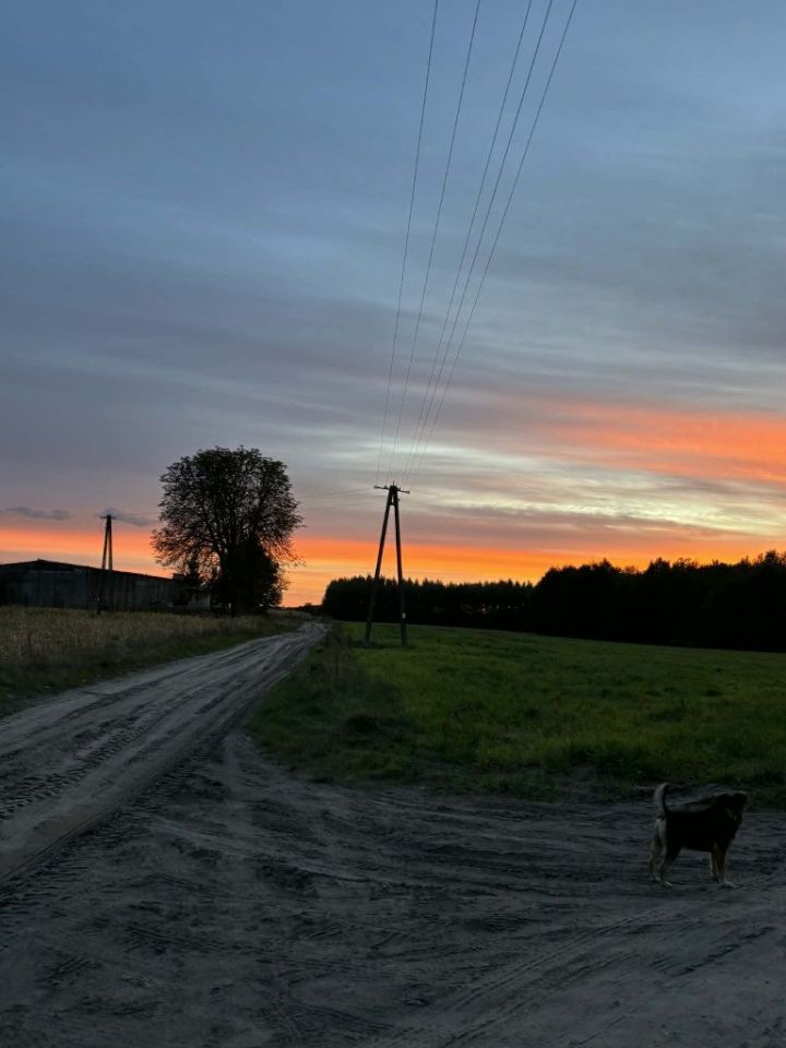 Działka rolno-budowlana Biechówko. Zdjęcie 5