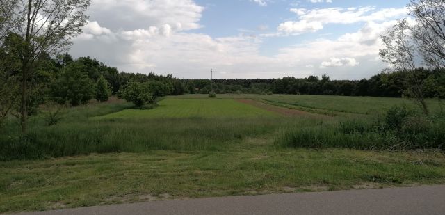Działka rolno-budowlana Nowiny. Zdjęcie 1