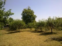 dom wolnostojący, 4 pokoje Kosiły. Zdjęcie 3