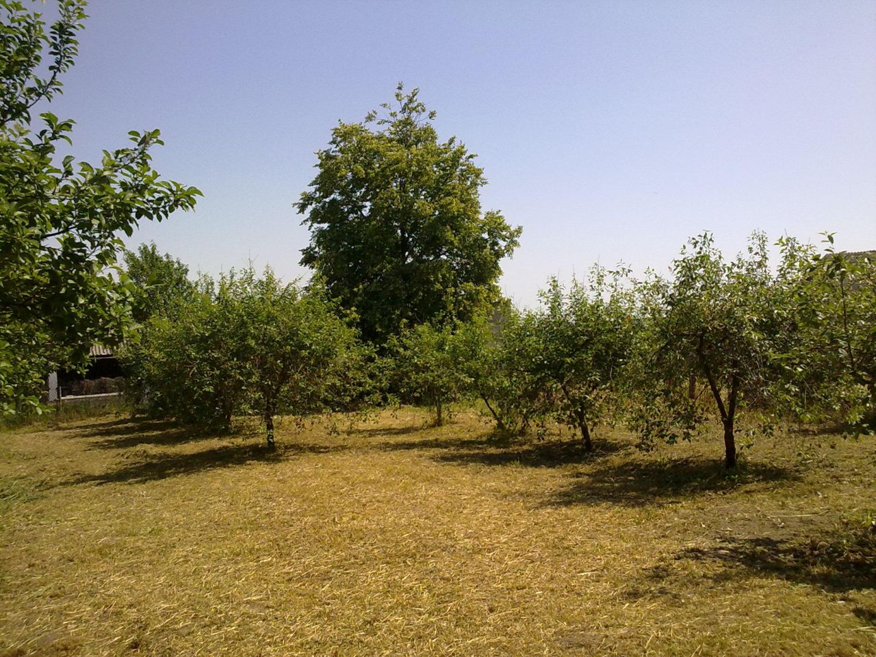 dom wolnostojący, 4 pokoje Kosiły. Zdjęcie 4