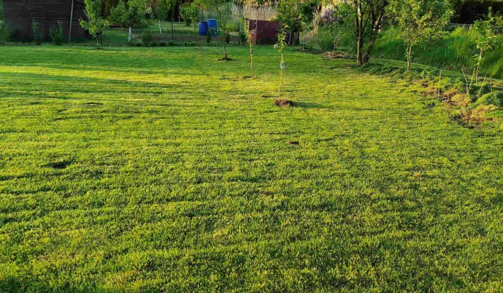 Działka rod Gdańsk Krakowiec, ul. Zawiślańska