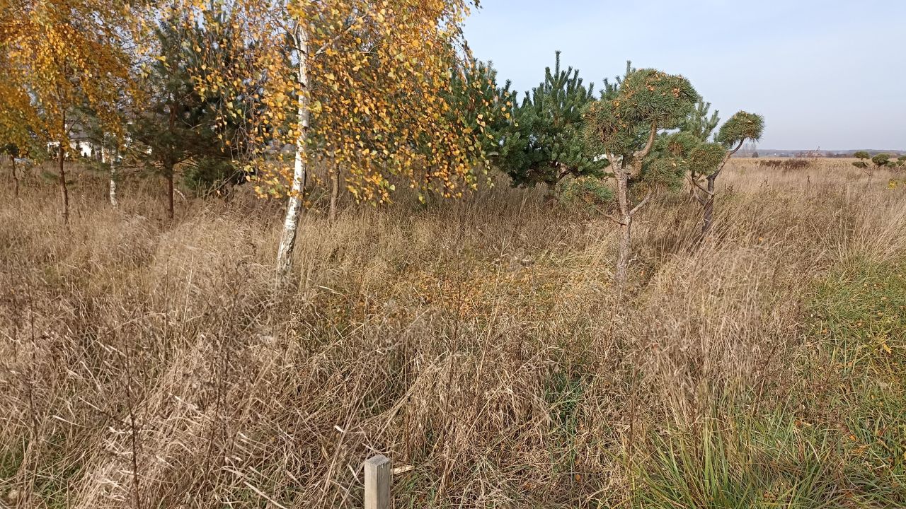 Działka budowlana Żelechów, ul. Ogrodowa. Zdjęcie 5