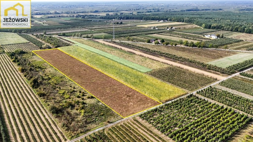 Działka rolna Kamień. Zdjęcie 6